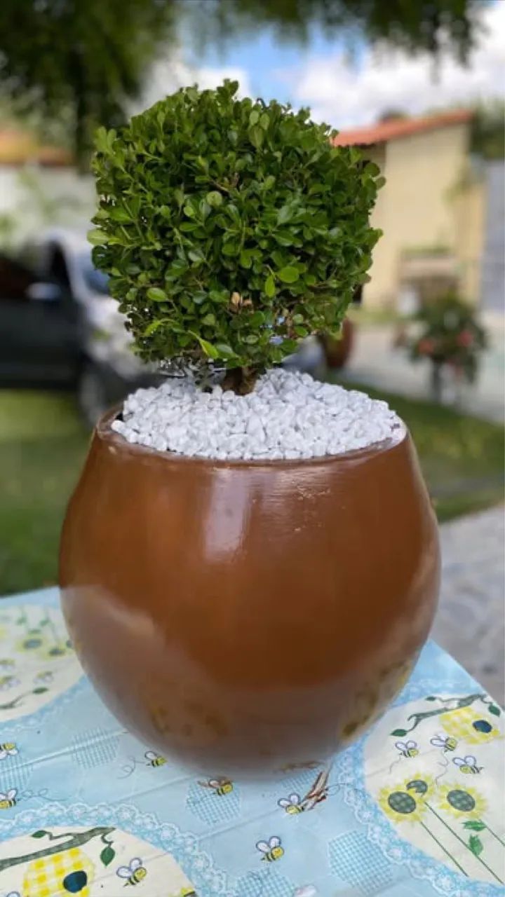 Jarro decorativo 