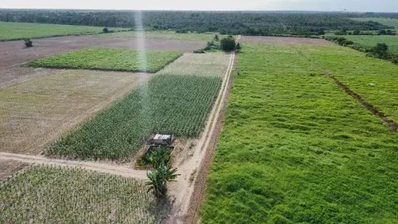 fazenda com 48 hectares no arena municipal de São José de Mipibu-RN