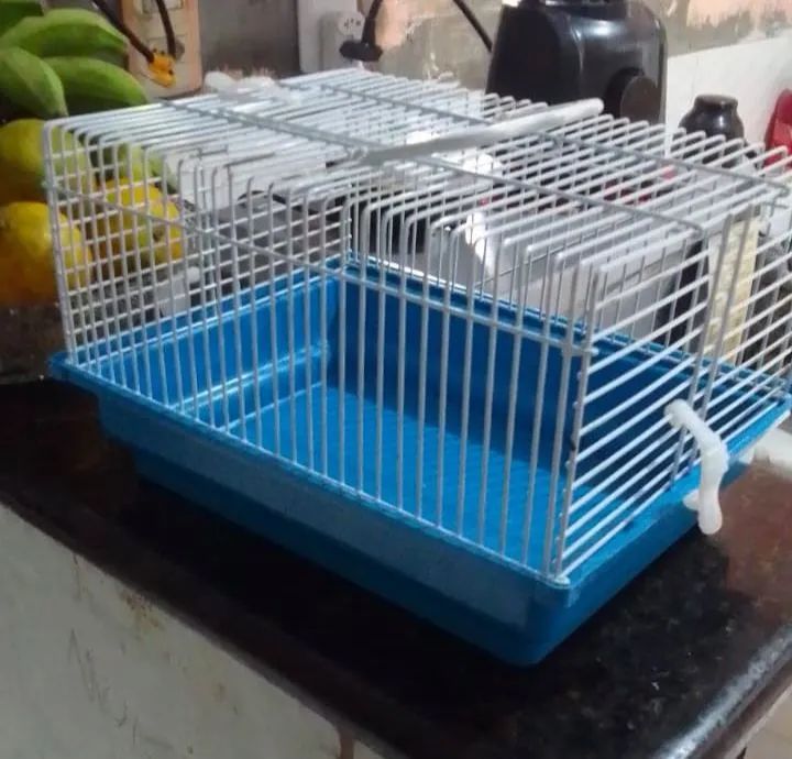 Gaiola para hamster 64167794066945120