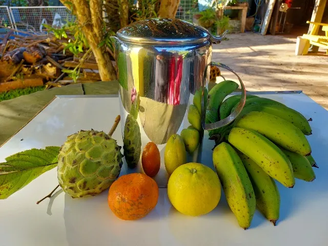 Jarra grande de aço inoxidável com tampa, 2,2 litros, para refrescos/sucos água, seminova