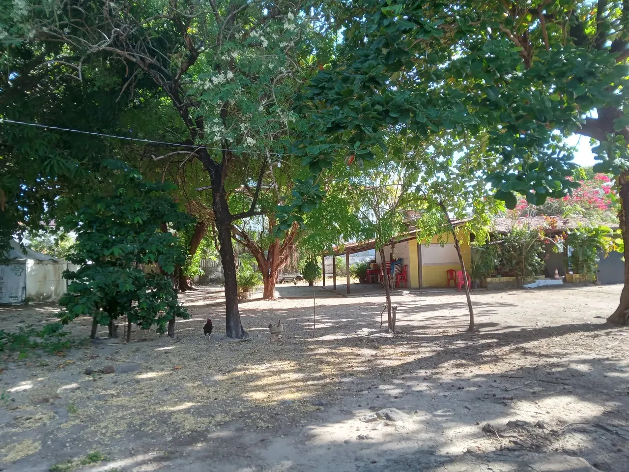 Imóvel para venda com 1540 m² em Fátima - Fortaleza - CE