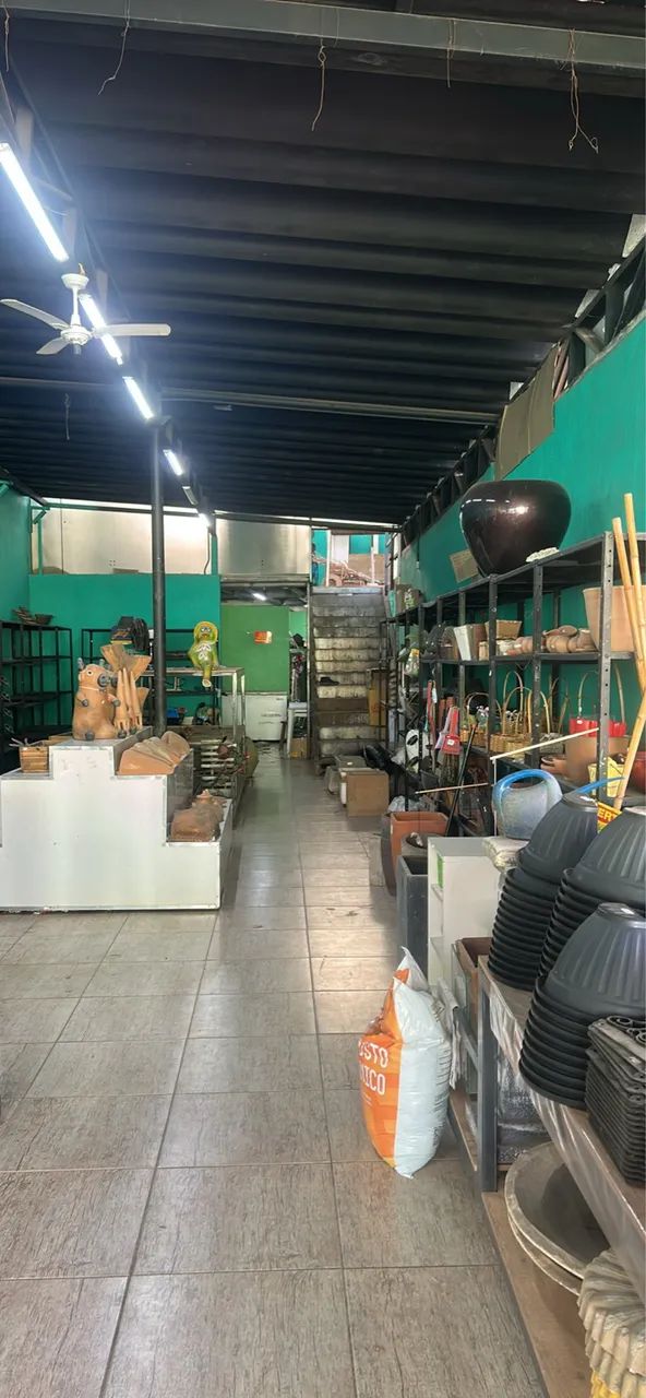 Vendo fundo de loja floricultura