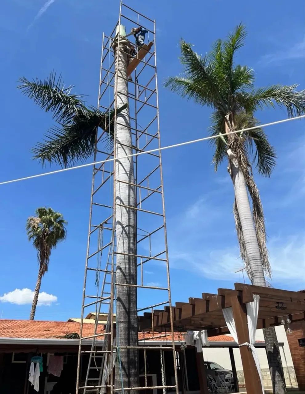 Jardinagem e paisagismo  - Foto 3