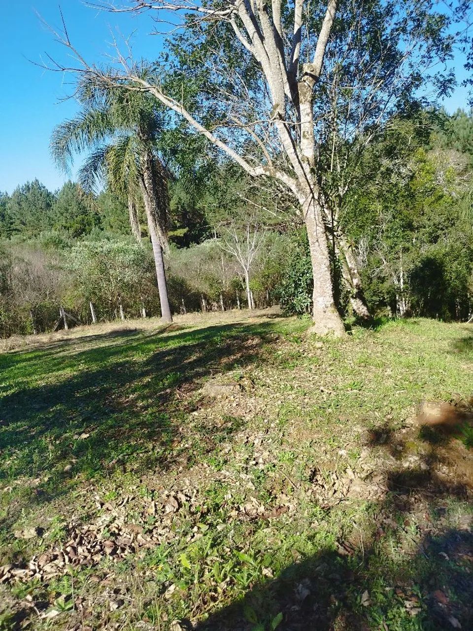 Vendo chácara  - Foto 4