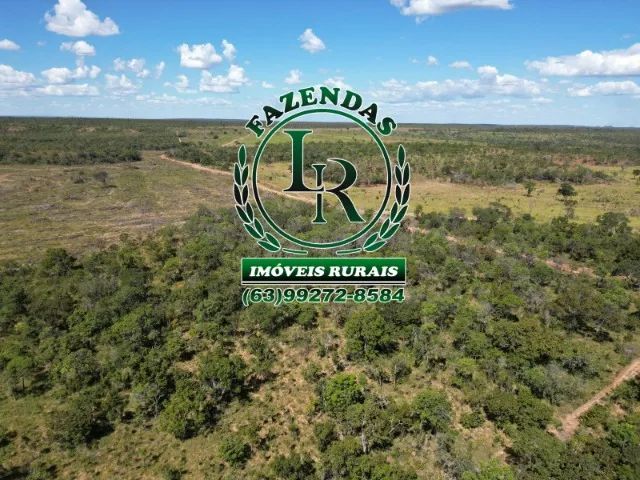 Oportunidade Fazenda Bruta Tocantins 117 alqueires.