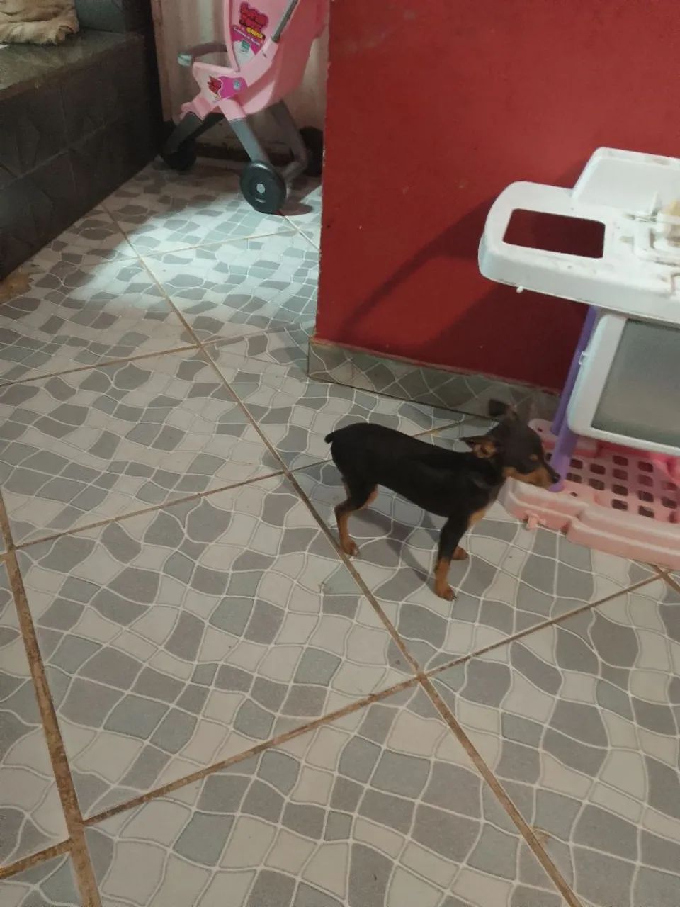 Vende se  - Foto 2