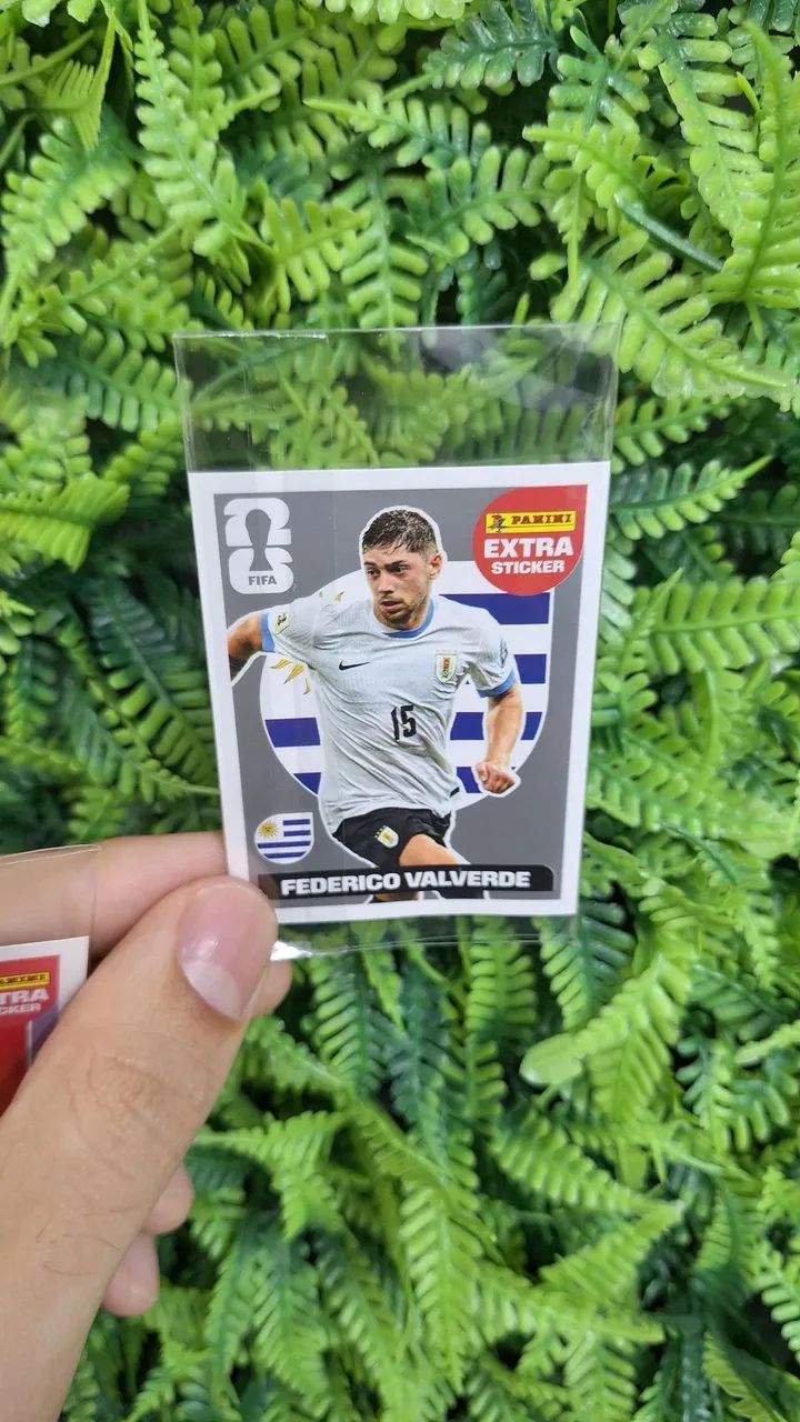 Figurinha da copa do mundo 