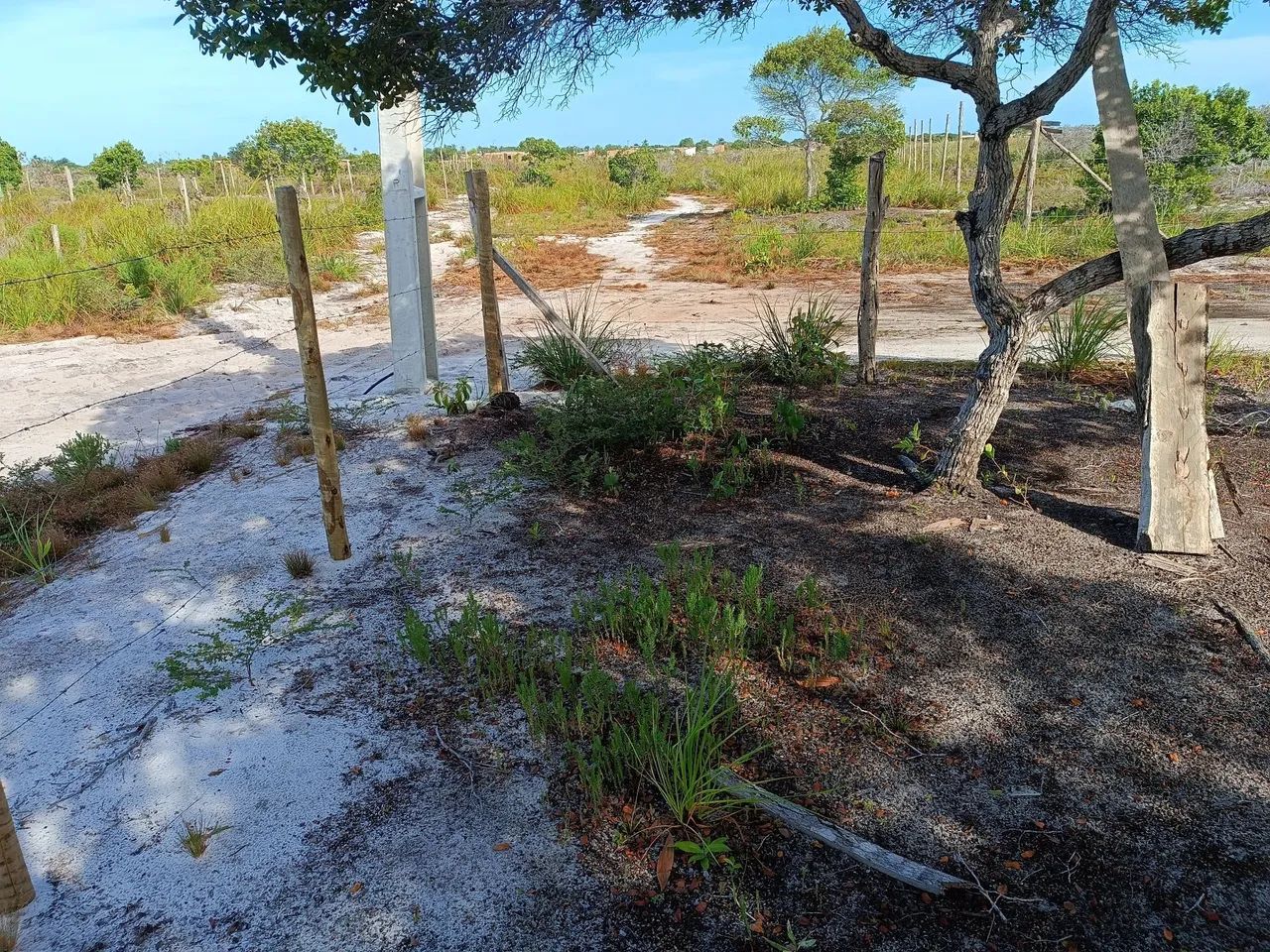 TERRENO PRÓXIMO À PRAIA.  - Foto 3