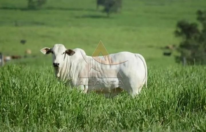 Fazenda - Lorena - Zona Rural - Foto 2
