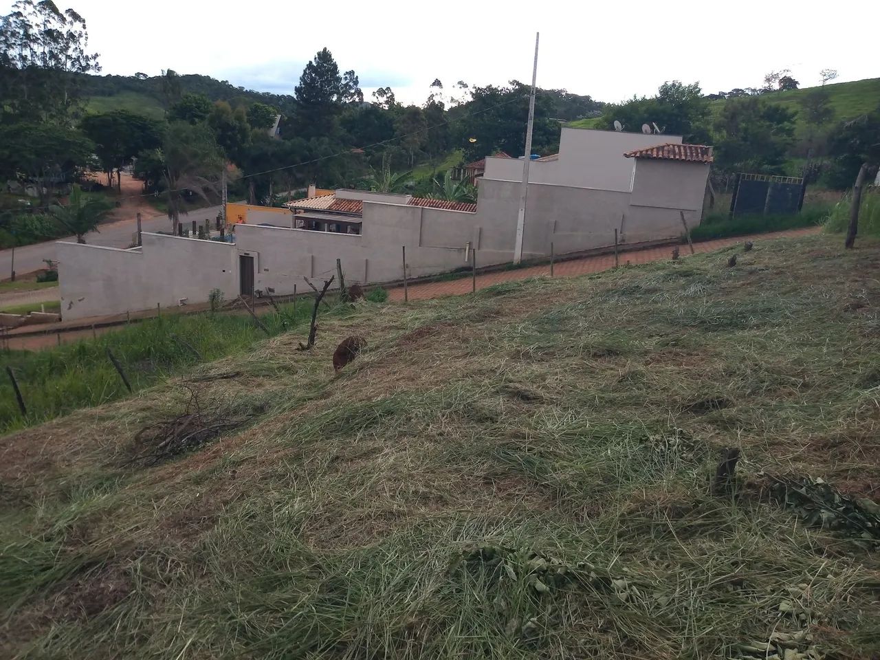 Vendo lote - Foto 3