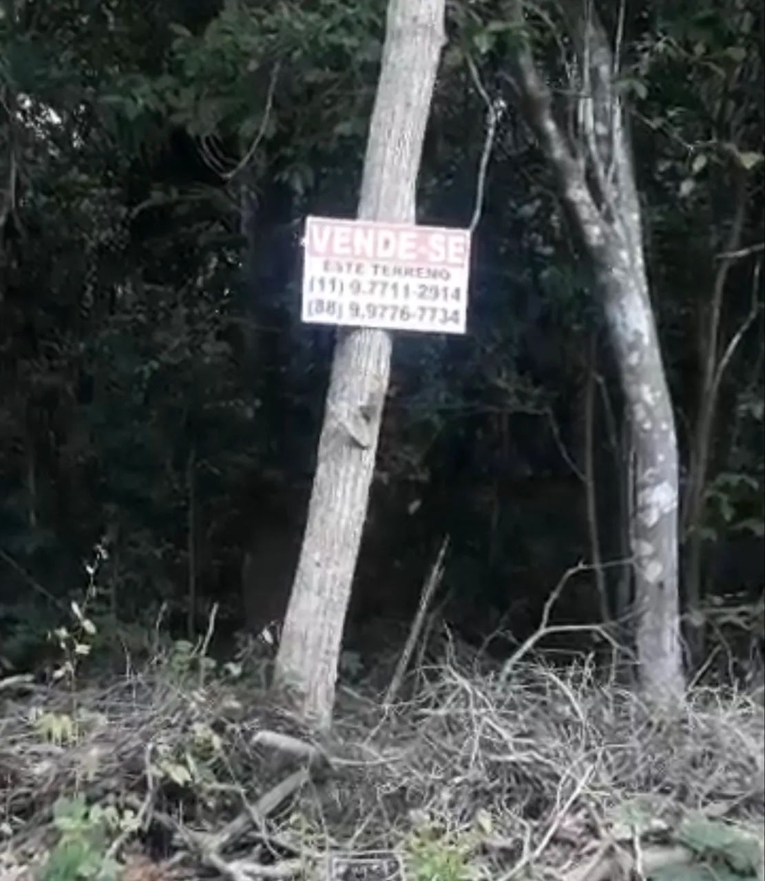 Terreno - Sítio Delgada - Ótima oportunidade! - Foto 2