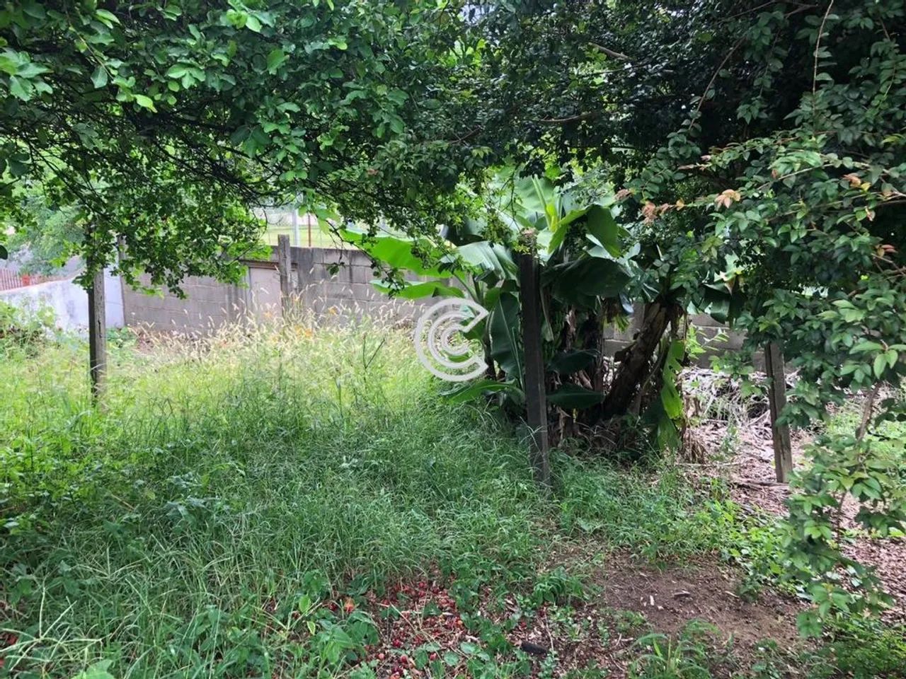 Terreno à venda em Campinas, JARDIM EULINA, com 335 m² - Foto 5