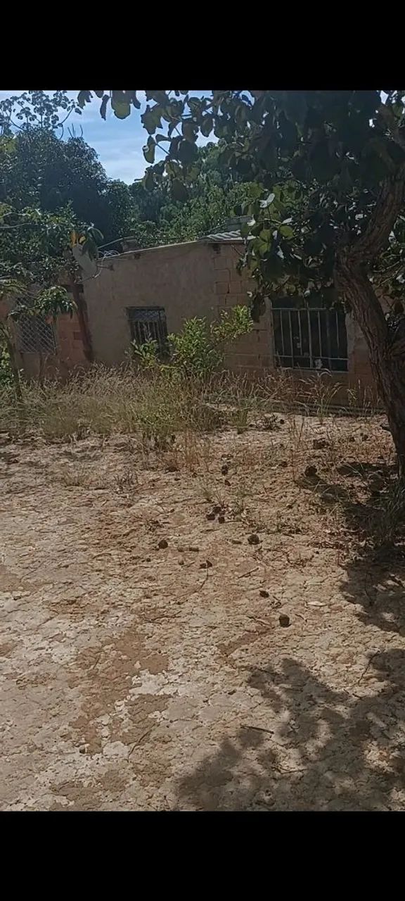 Vendo ou troco sitio - Foto 3