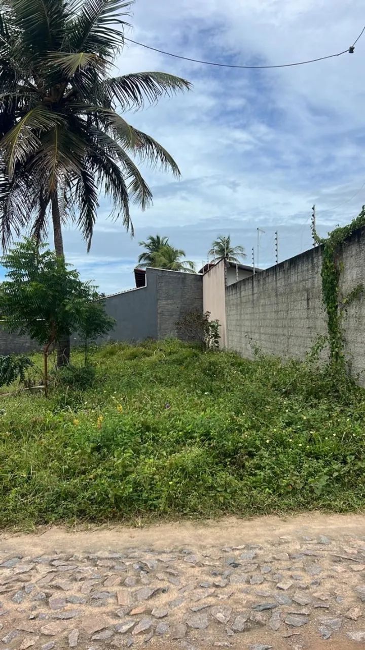 Vende-se Terreno na Taíba! - Foto 3