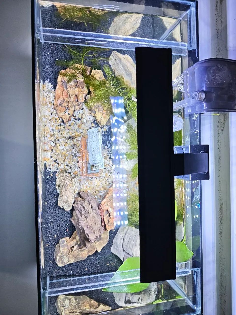 Aquário 36L completo  - Foto 2