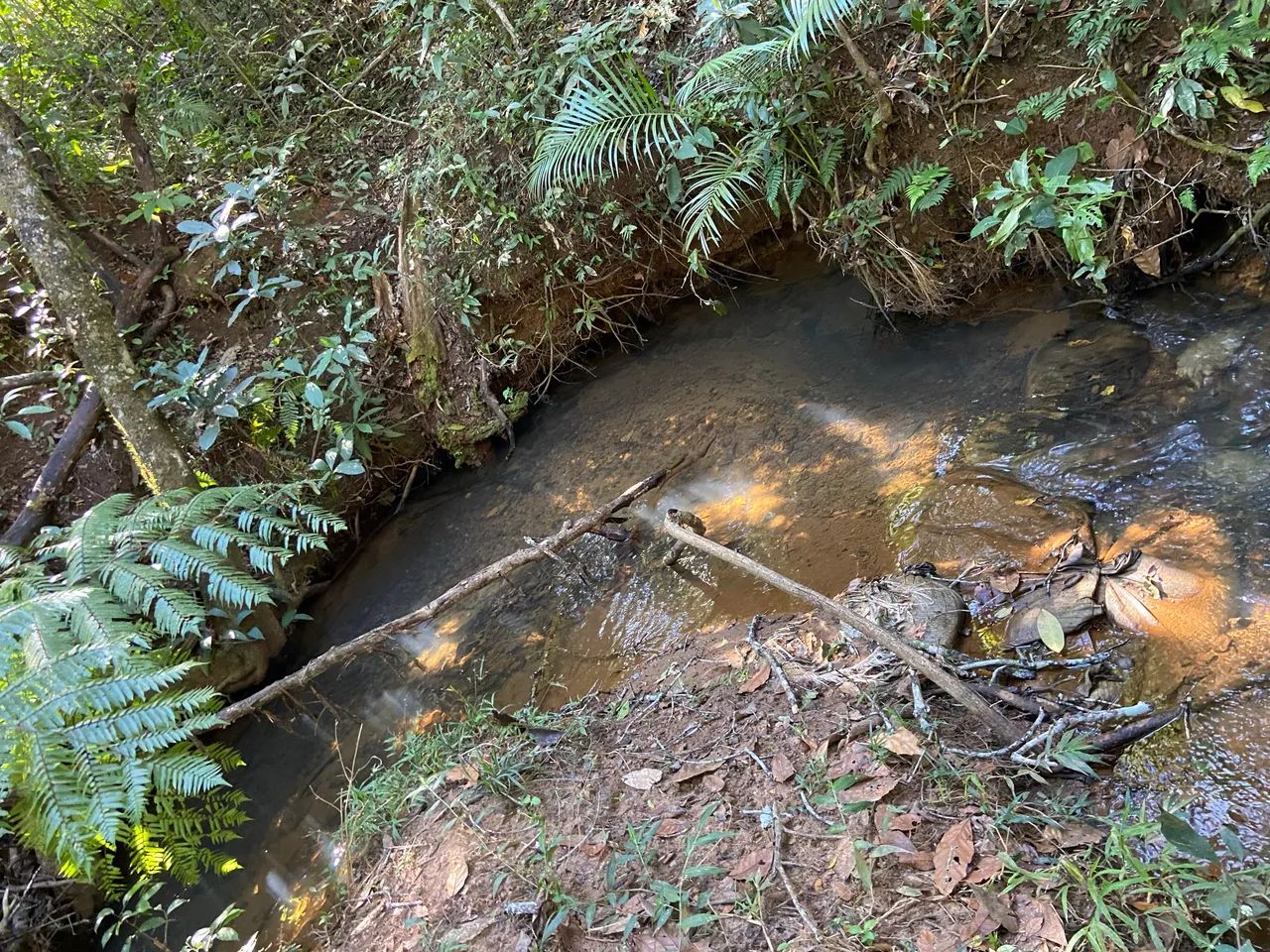 Chácara em joanapolis  - Foto 2