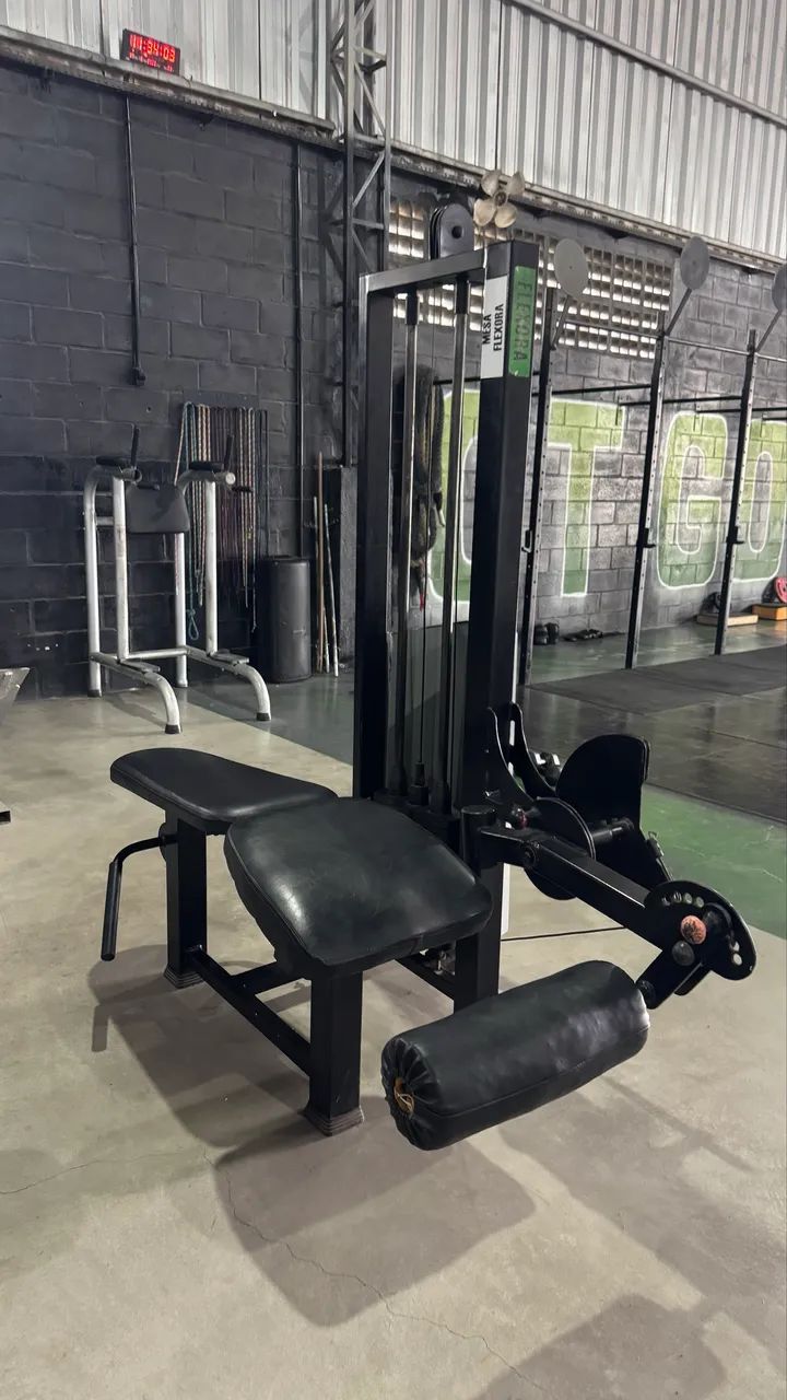 Mesa flexora 