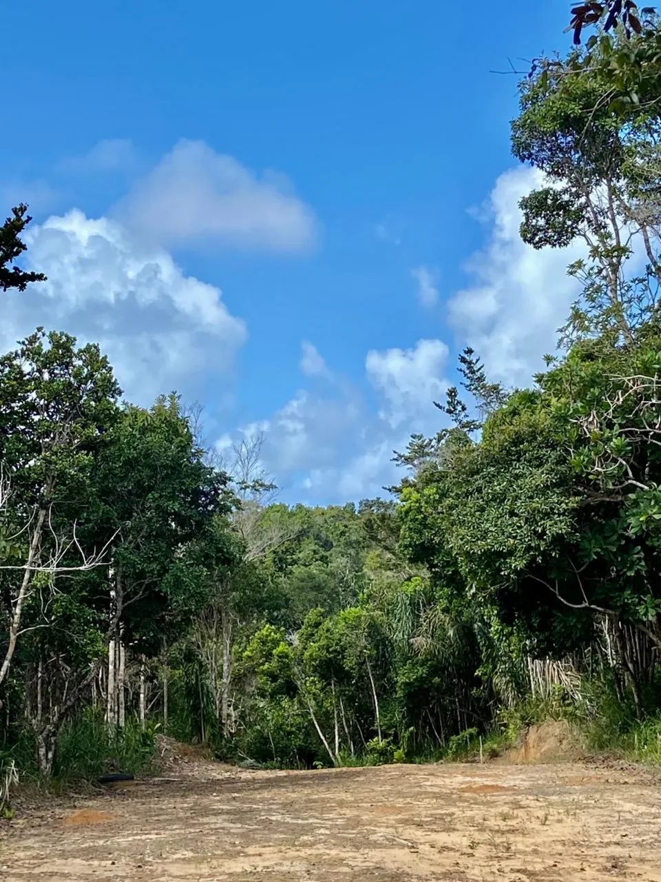 TERRENO A VENDA - ARUÁ / PRAIA DO FORTE