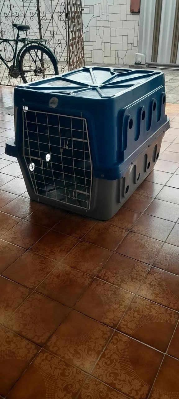 Caixa Para Transporte de Cães  - Foto 3