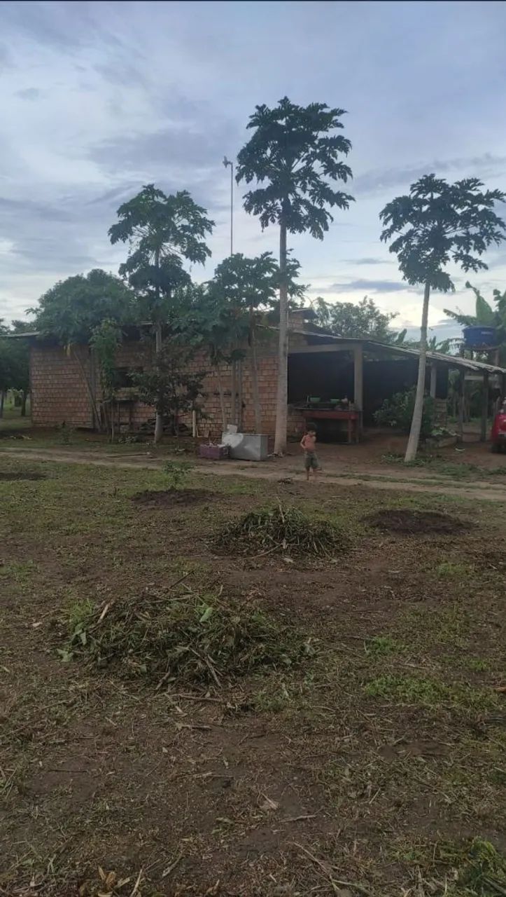 Sítio 140.000 mil - Foto 5