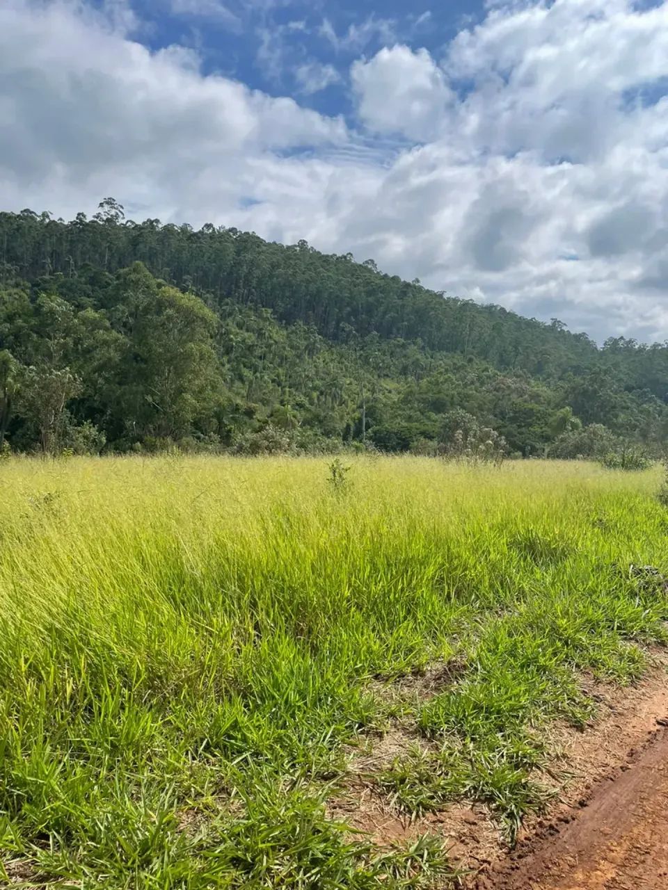 LANÇAMENTO EM ATIBAIA | Terrenos de 600m² - Foto 4