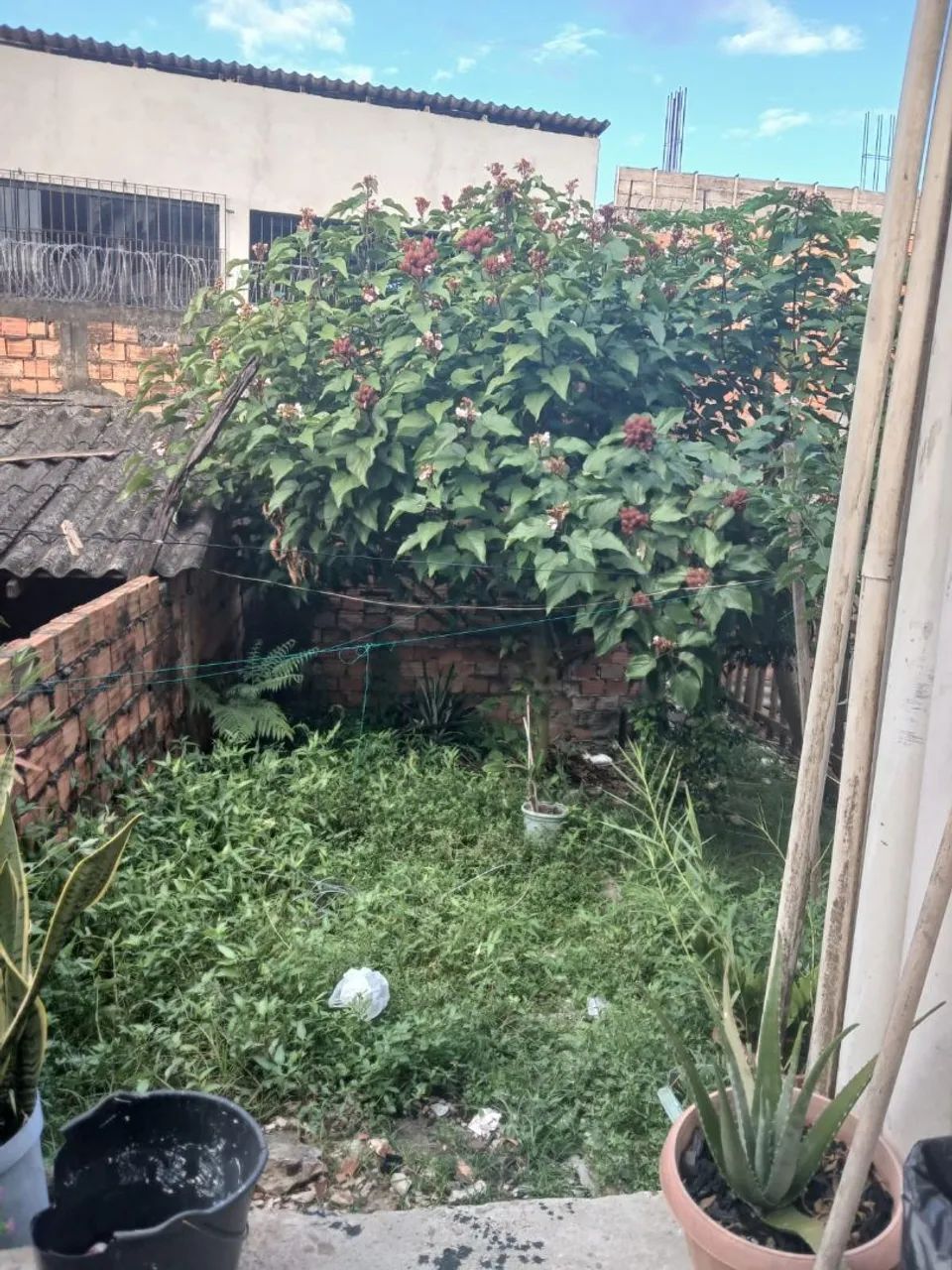 Vende-se terreno  - Foto 2