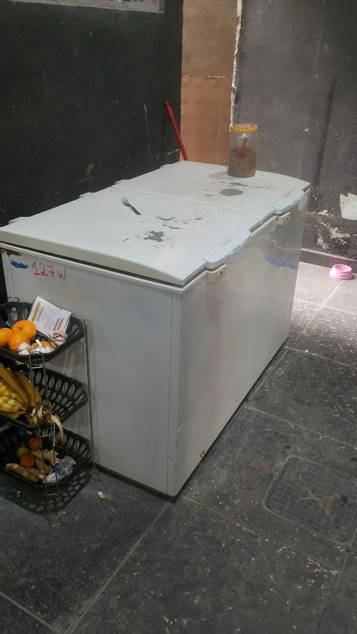  Frizer 470 l   220w  - Foto 3