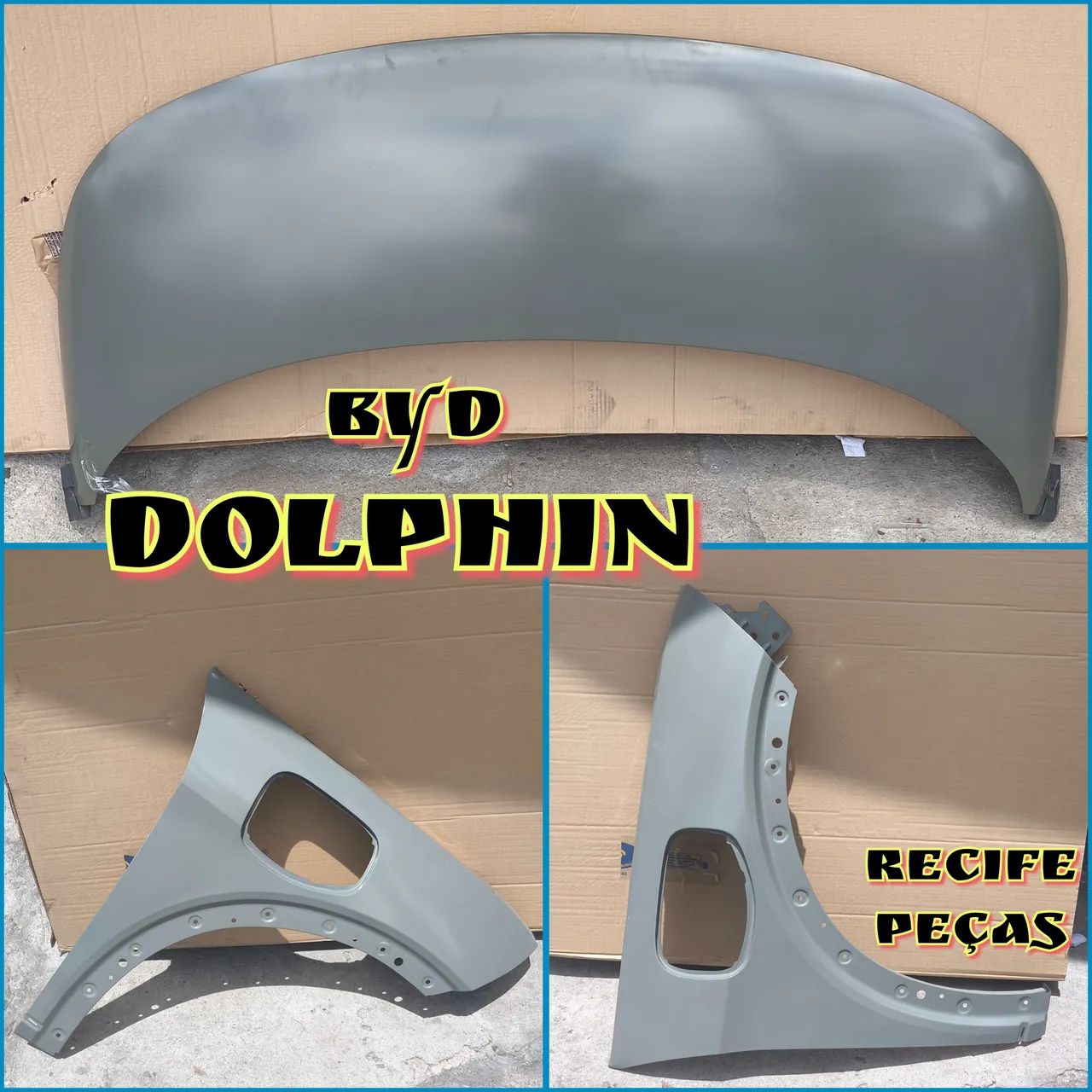 Capô GS Dolphin Byd  - Foto 4
