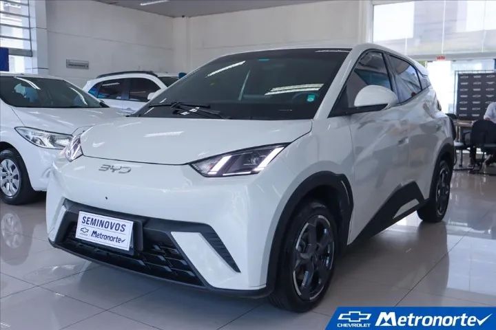 BYD Dolphin Mini (Elétrico) 2025 - Foto 4