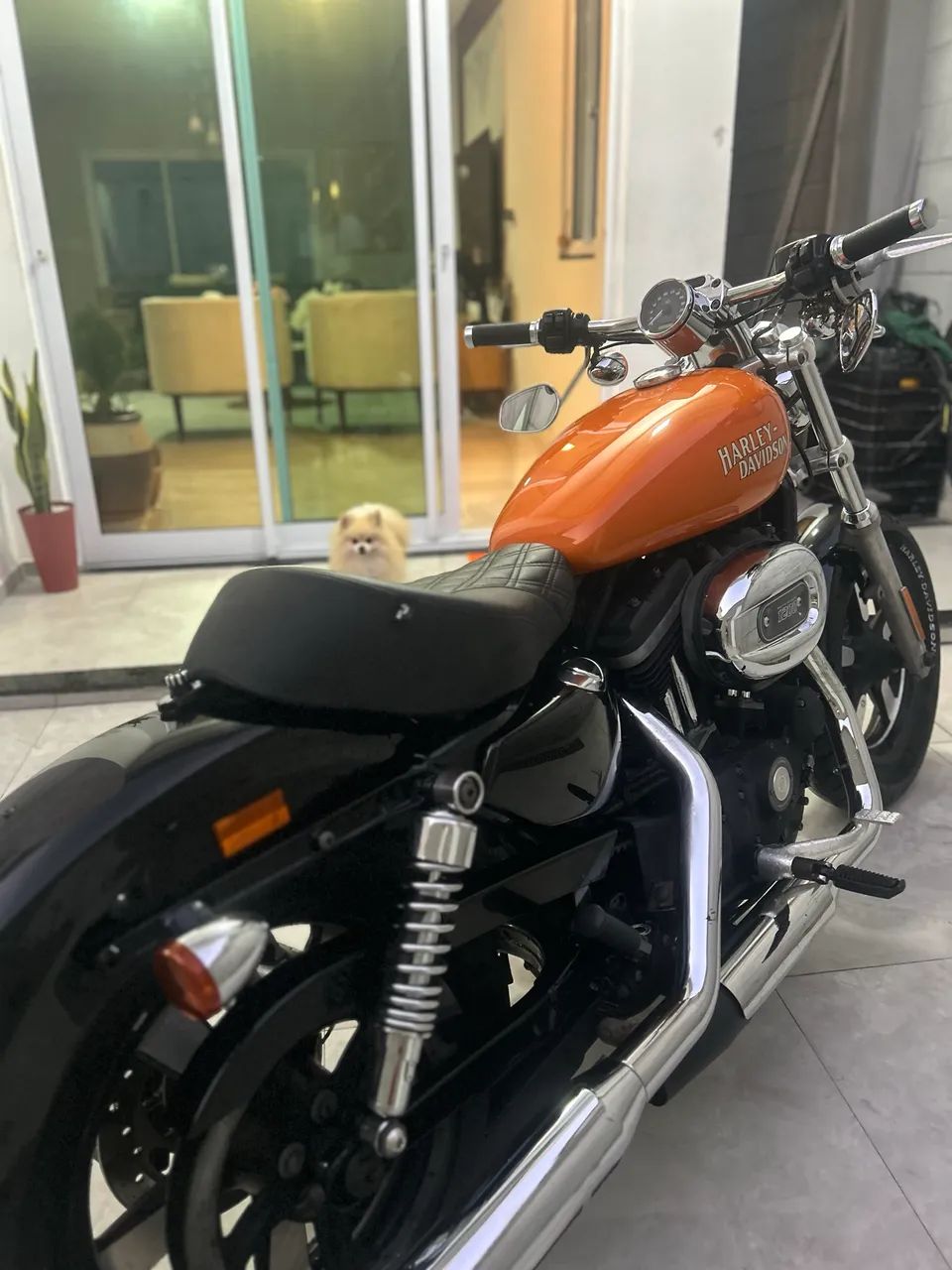 Harley Davidson - Foto 4