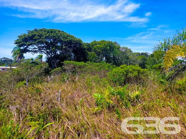 Terreno | São Francisco do Sul | Ervino - Foto 2