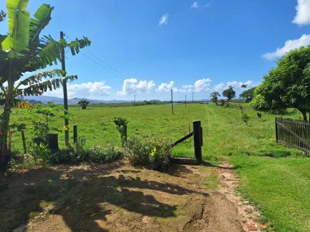 Lindo Terreno sitio 5 hectares - Foto 3