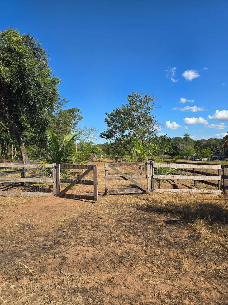 Fazenda em dom aquino Mt - Foto 5