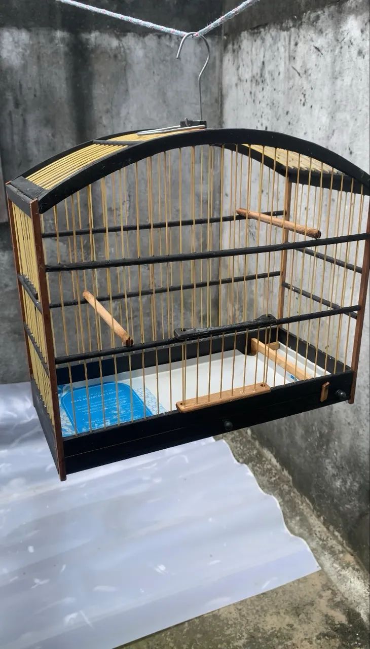 Vende-se Gaiola Baianinha - Foto 2