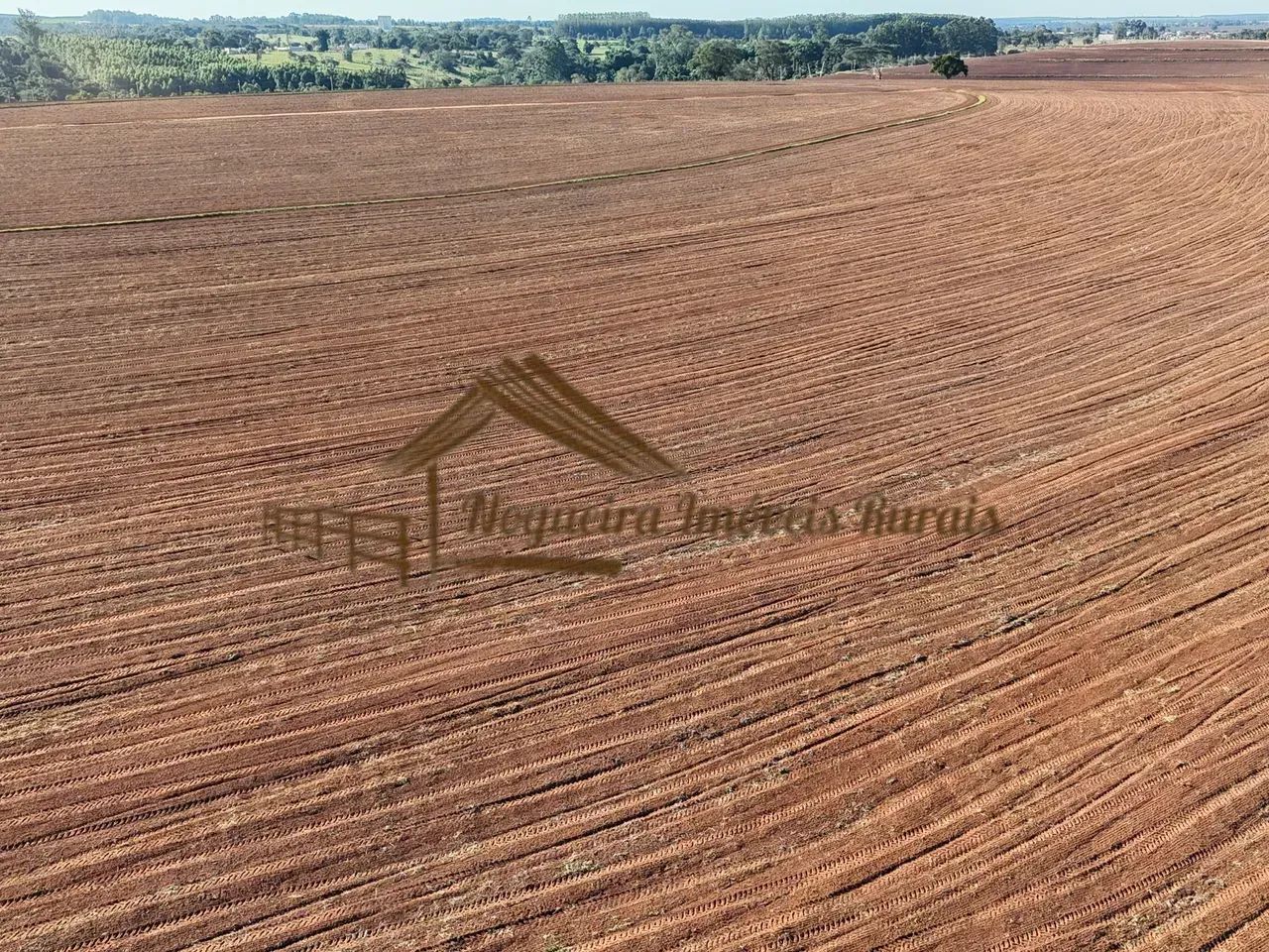 Fazenda com 100 alqueires em Avaré-SP - Foto 3