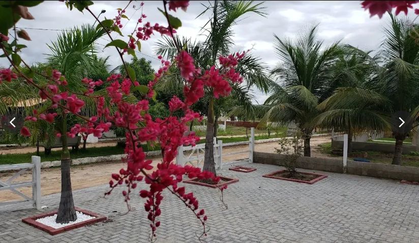 Lote Haras Pe de Serra I  - Foto 4