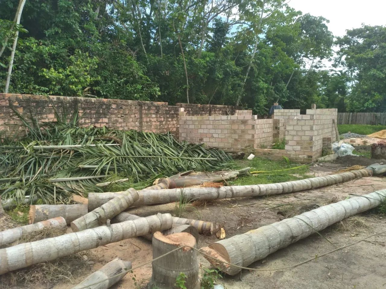 Terreno