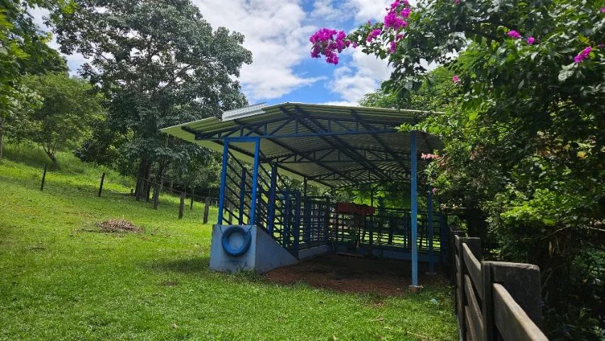 Lindo sítio, natureza, conforto e paz - Foto 5