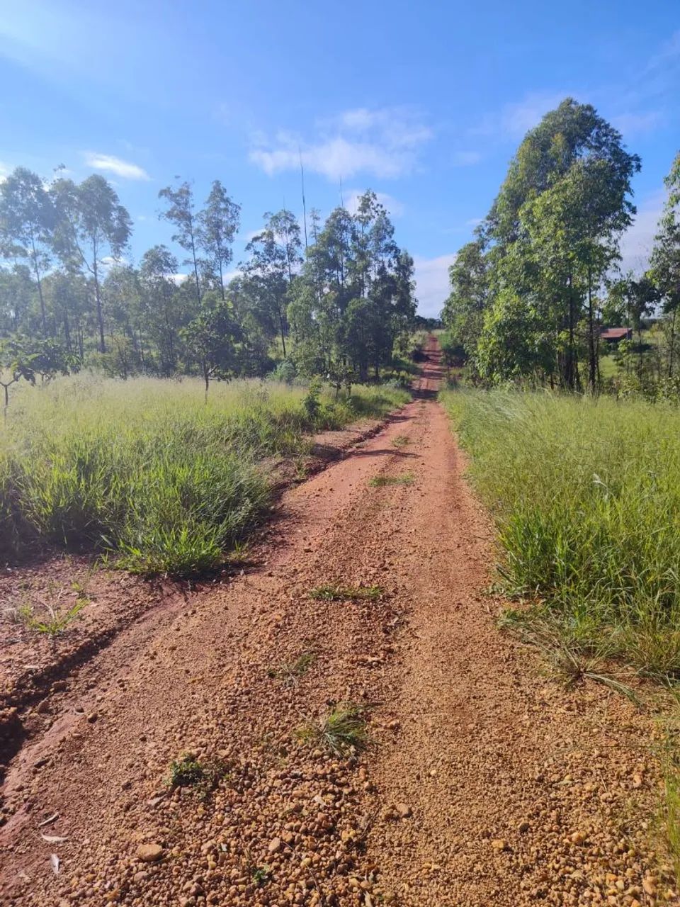 Vendo ou troco sítio  em Baldim - Foto 3