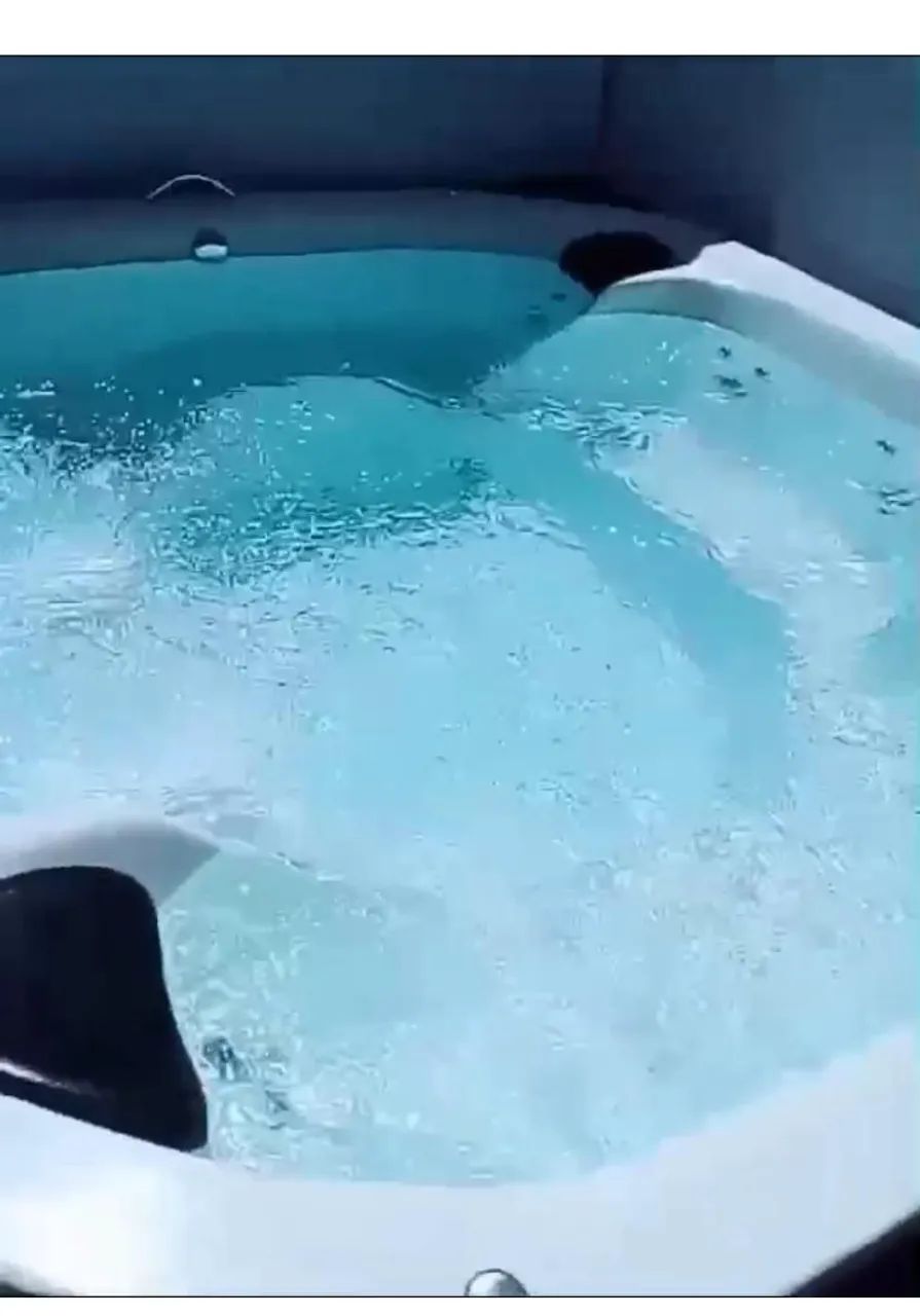 Casa caldas novas spa jacuzzi e churrasqueira final de semana e temporada alugo * - Foto 3