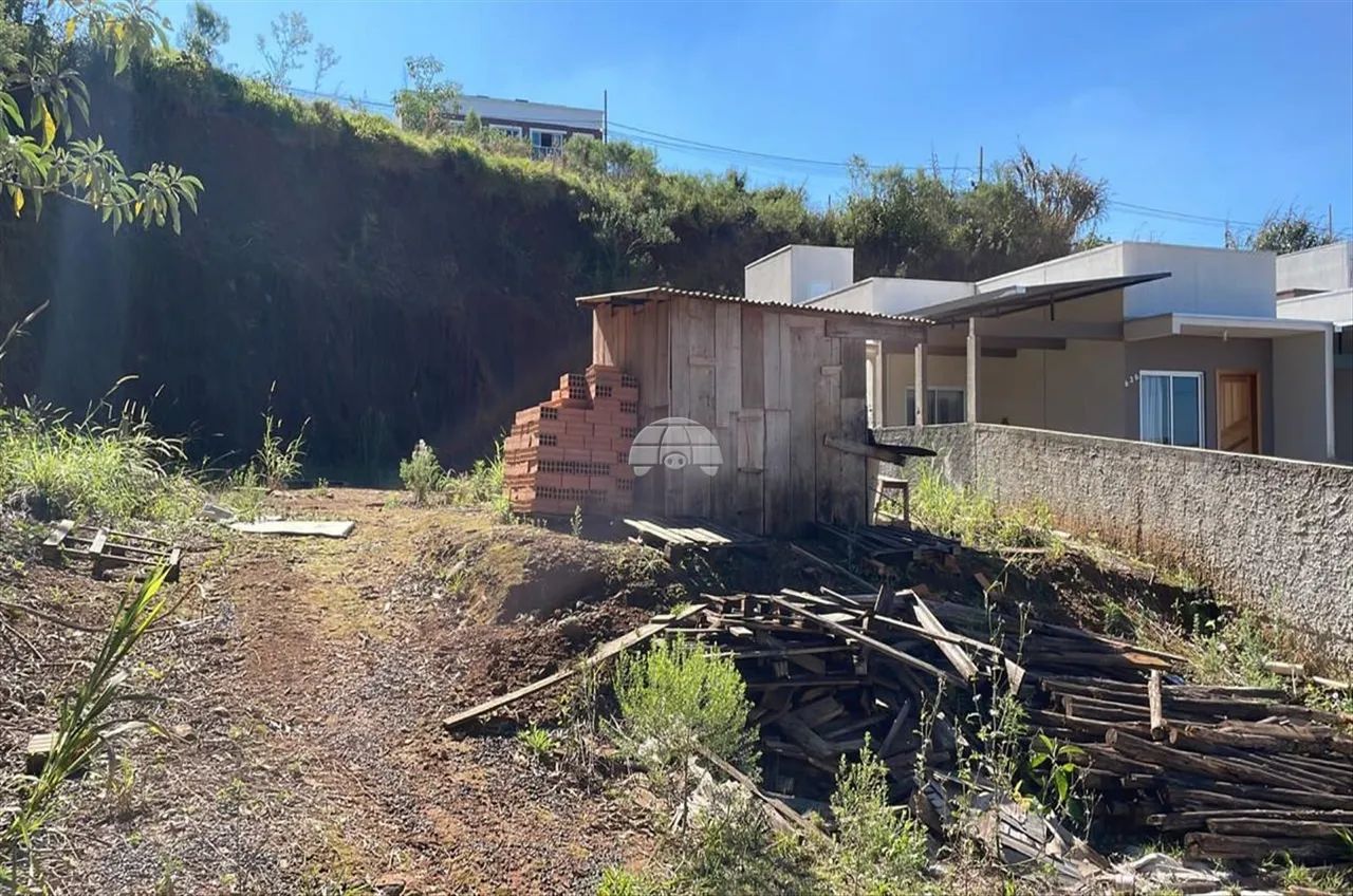 Vendas Terreno Pato Branco PR - Foto 3
