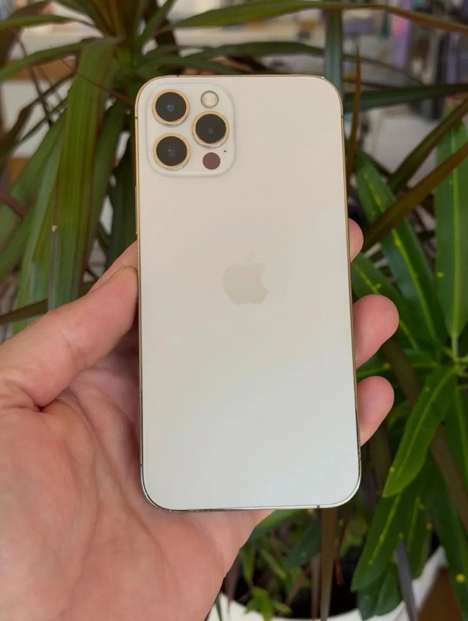 IPHONE 12 PRO gold