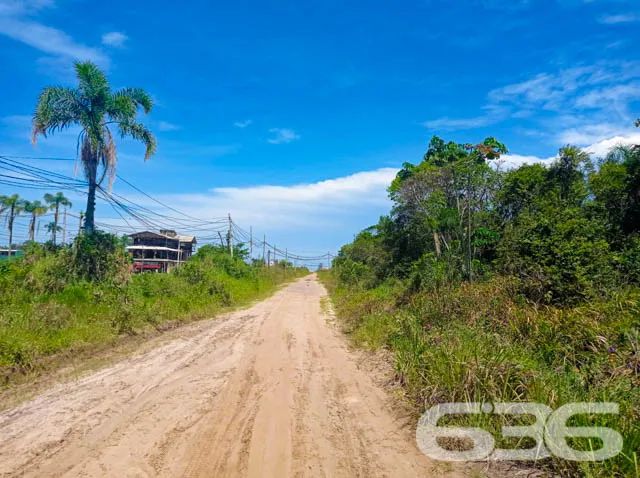 Terreno | São Francisco do Sul | Ervino - Foto 5