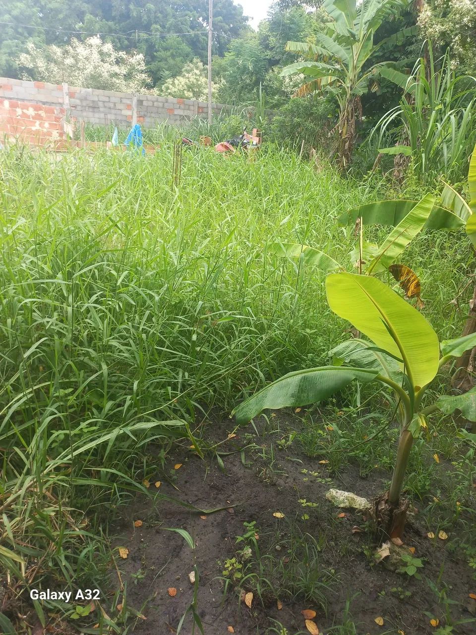 Foto - Rio de Janeiro - Guaratiba