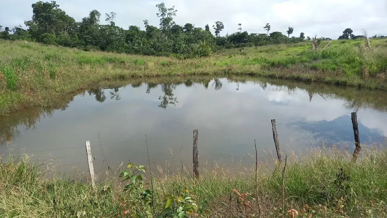 KBC-" VENDO FAZENDA 128 ALQUEIRES  RIO DENTRO  PECUÁRIA  REGIÃO MARABÁ / TRANSAMAZÔNICA - Foto 3
