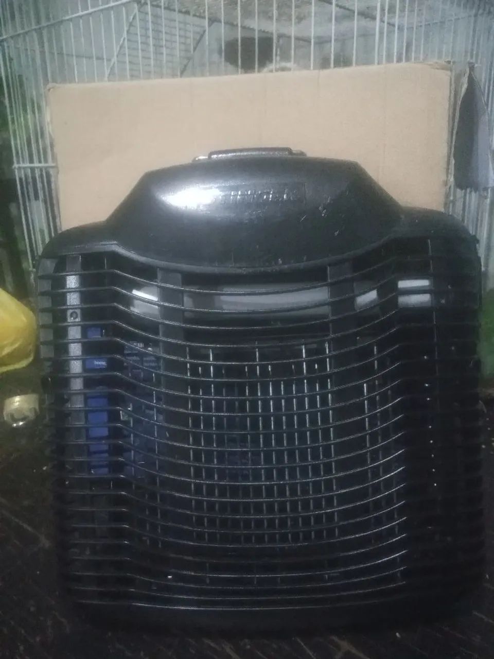 Pega mosquito e mosca