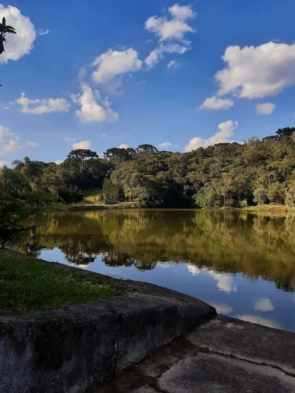 Foto - São José dos Pinhais - Borda do Campo