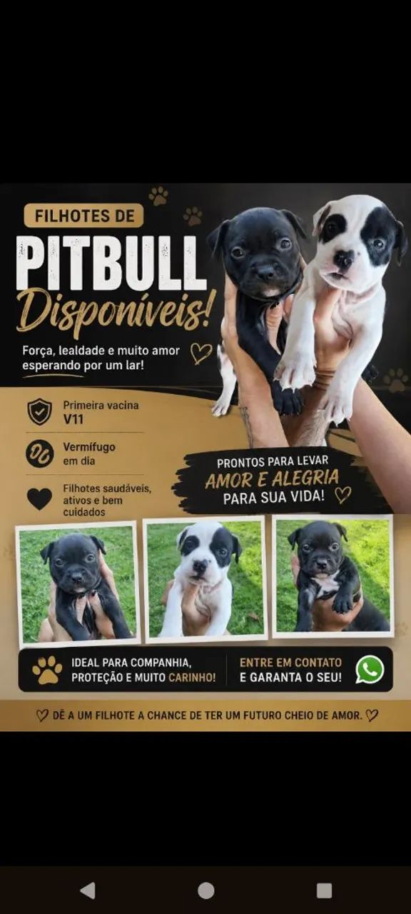 Filhote de Pit Monsters 