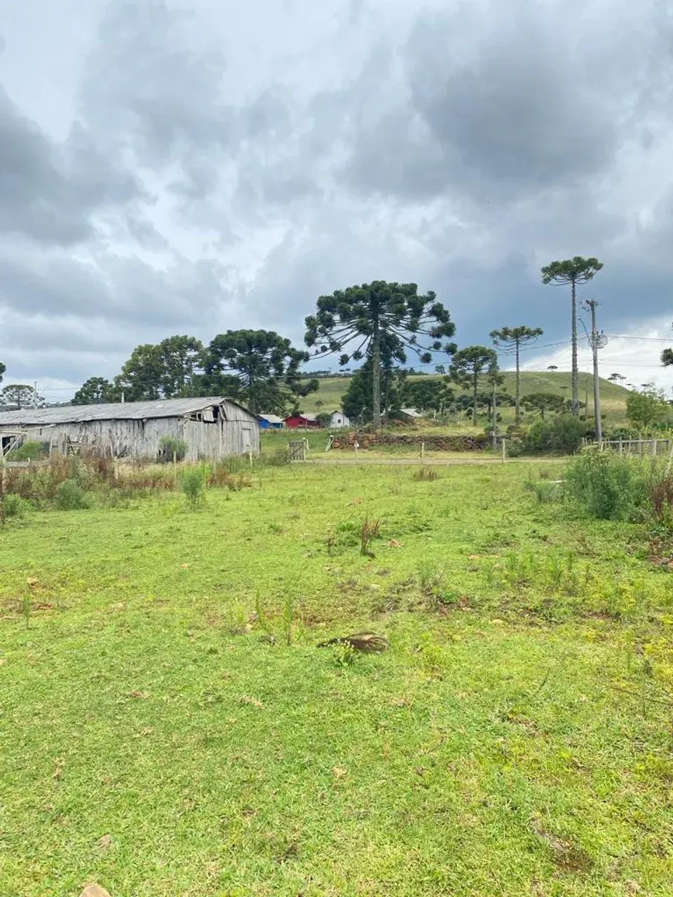 LOTE À VENDA - Foto 2