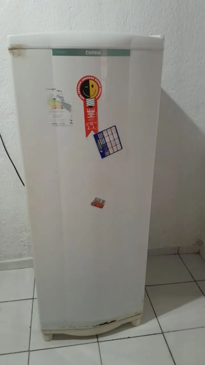 Vendo geladeira 